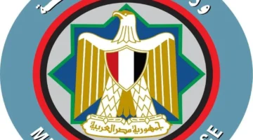 وزير المالية يحدد 7 أبريل موعداً لبدء صرف متأخرات مستحقات العاملين بالدولة